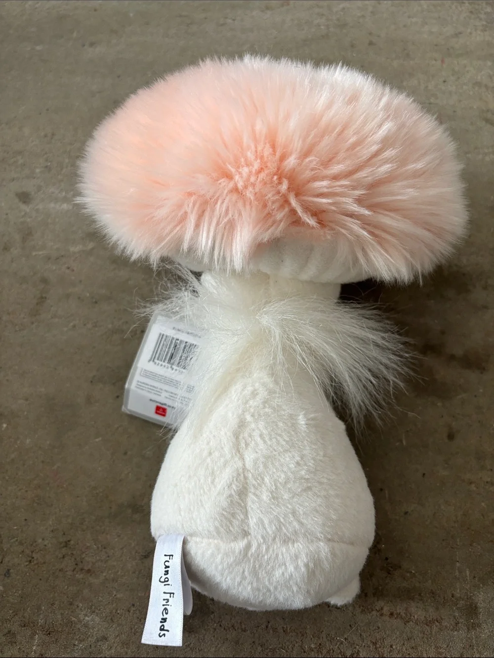 2021 Aurora Fungi Friends 10